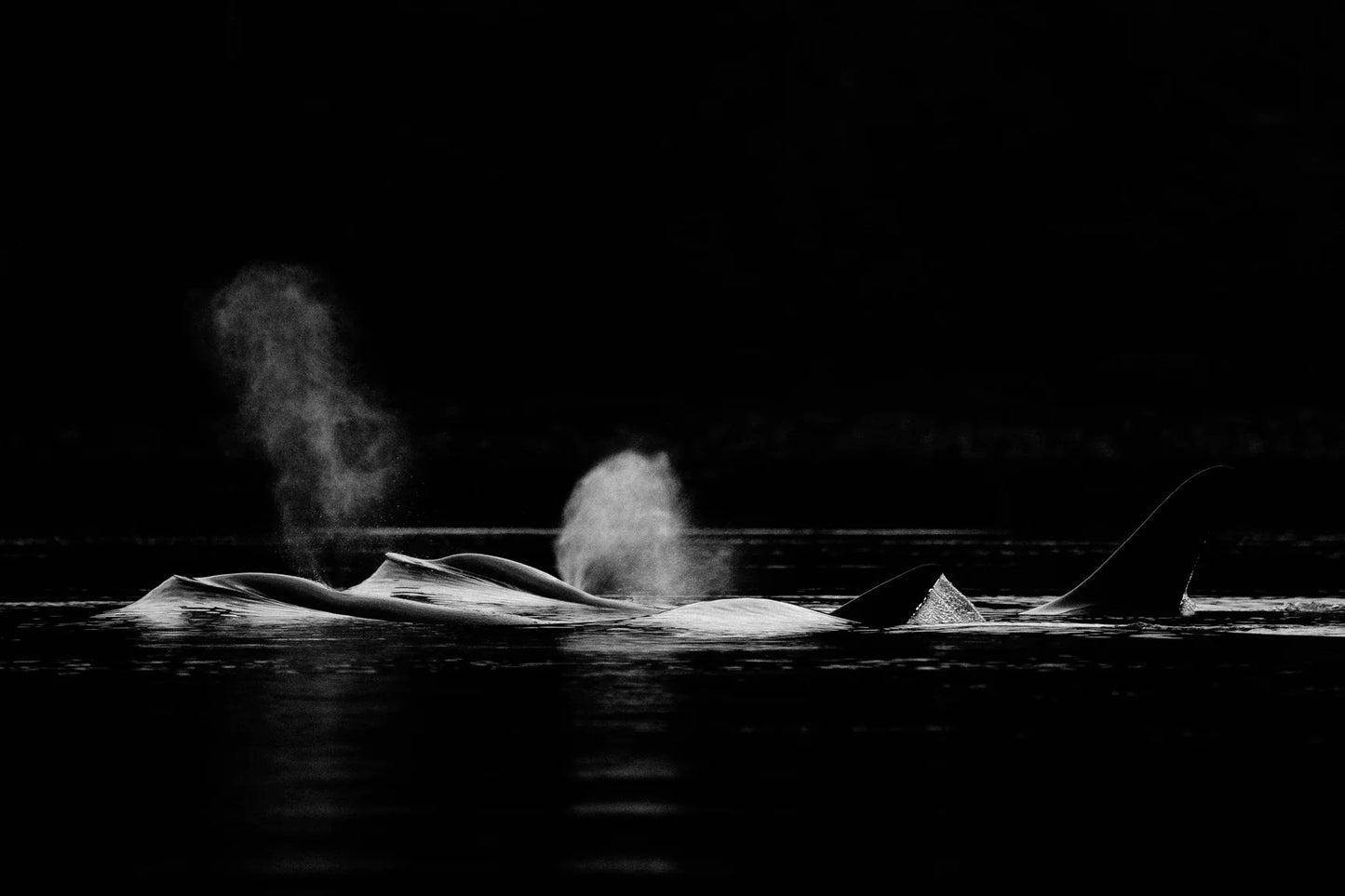 Breaking Silence